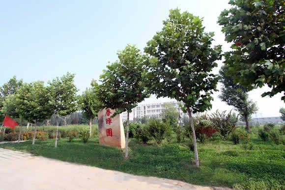 衡水科技工程學(xué)校怎么樣？是國(guó)辦院校嗎？就業(yè)有保障嗎？