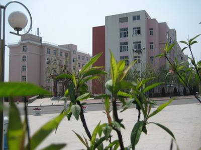 青島影視學(xué)校好嗎？