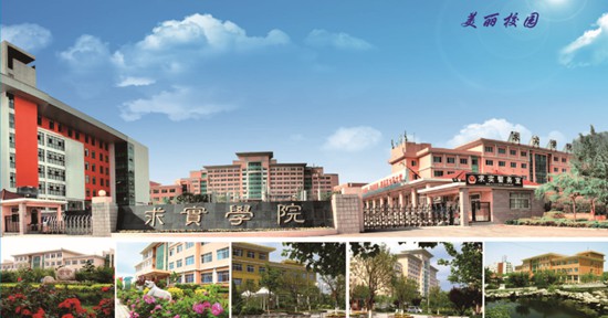 青島哪所學(xué)校開設(shè)了空中乘務(wù)專業(yè)？