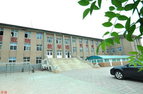 滄州國興職業(yè)技術(shù)學(xué)校哪些專業(yè)比較不錯？