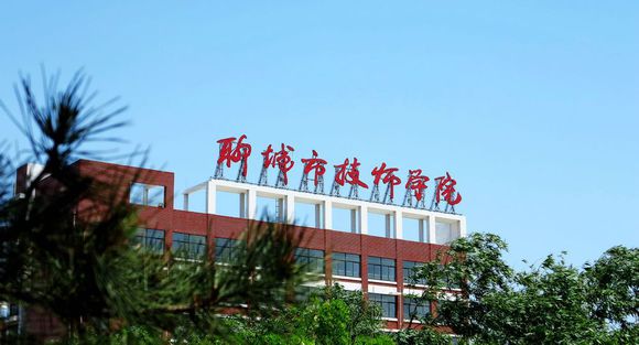 聊城市技師學(xué)院有計算機專業(yè)嗎？