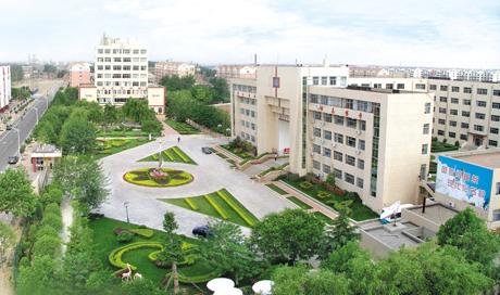 日照市技師學(xué)院辦學(xué)優(yōu)勢有哪些？