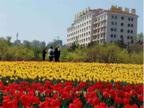 微信圖片_20190802105228 微信圖片_20190802105228