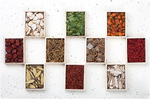 山東醫(yī)藥技師學(xué)院中藥系專業(yè)有哪些？