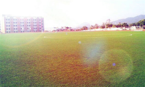 泰山護(hù)理職業(yè)學(xué)院怎么樣？