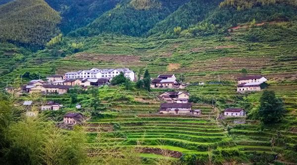 農(nóng)村經(jīng)濟(jì)綜合管理專業(yè)怎么樣？山東威海外國語進(jìn)修學(xué)院帶你了解一下！