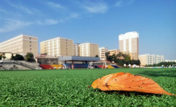 東營市技師學(xué)院怎么樣？