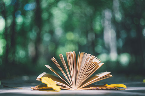 臨沂能源學校怎么樣？學校的就業(yè)情況怎么樣？