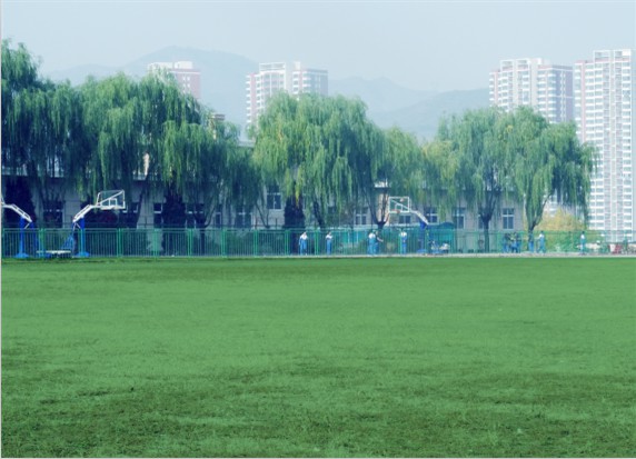 青島滿天星職業(yè)培訓學校怎么樣？