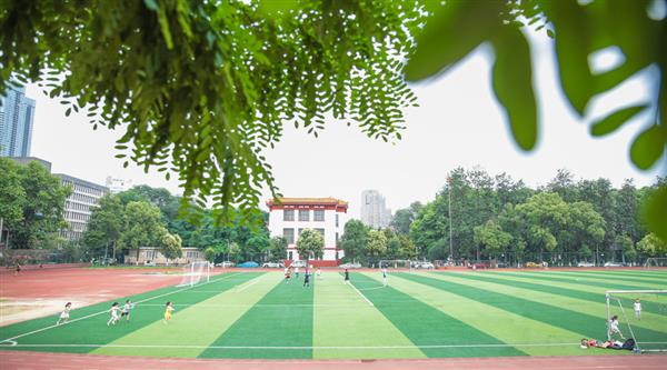 為什么選擇青島滿天星職業(yè)培訓學校？