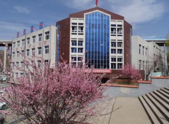 承德通達中等專業(yè)學(xué)校國際商務(wù)專業(yè)是留學(xué)專業(yè)嗎？