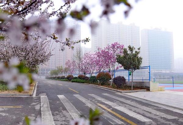 河北大學(xué)新世紀(jì)函授站成人高考輔導(dǎo)班怎么樣？