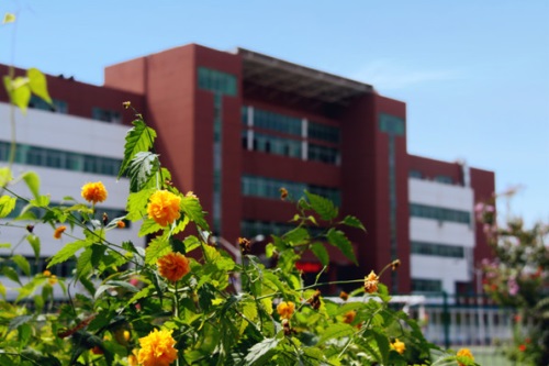 通過單招考取大學(xué)有哪些優(yōu)勢？