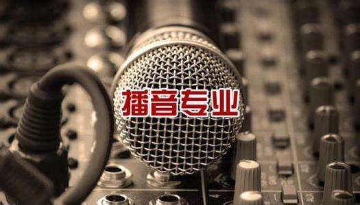 北京吉利學(xué)院華視傳媒學(xué)院有藝術(shù)相關(guān)專業(yè)嗎？