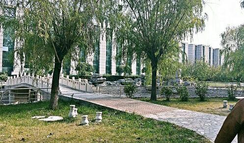 保定平安技工學(xué)校動(dòng)漫設(shè)計(jì)專(zhuān)業(yè)上什么課程？   