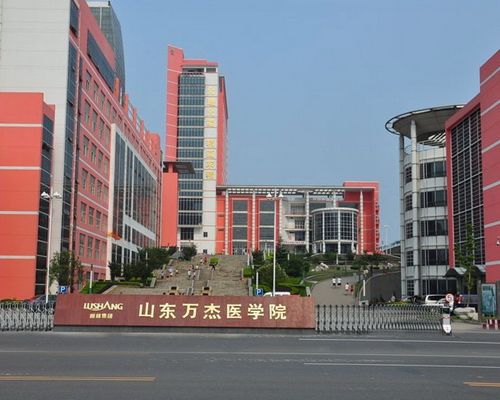 山東萬(wàn)杰醫(yī)學(xué)院優(yōu)勢(shì)有哪些？