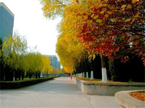 北京現(xiàn)代體育學(xué)院、航空乘務(wù)學(xué)院設(shè)施好嗎？