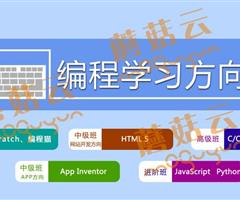 孩子為什么要盡早學(xué)習(xí)少兒編程。濟(jì)寧蘑菇云少兒編程