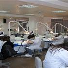 口腔醫(yī)學(xué)（專、本科）