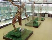 山東煤炭衛(wèi)生學校（濟南校區(qū)）實驗室、宿舍